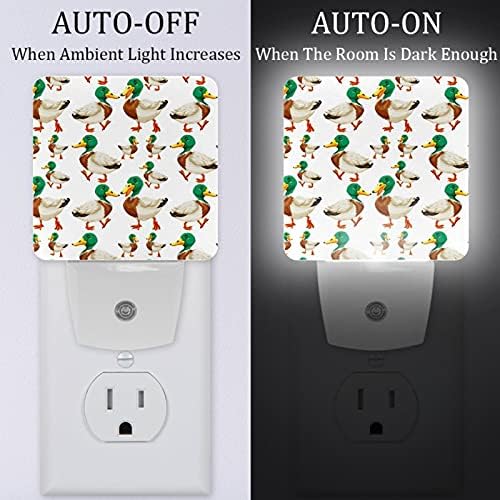 LED svjetiljka s automatskim senzorom za prijelaz sumraka u zoru 2 pakiranja plug-in noćno svjetlo za kupaonicu spavaća soba dječja