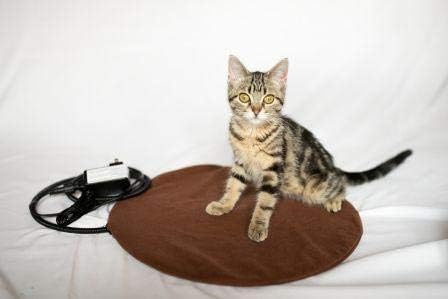 Kitty cijev sigurni niski naponski okrugli jastučić za grijanje kućnih ljubimaca