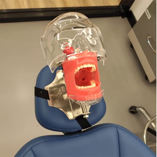 Dentalni simulator Lutka-model fantomskih zuba sa stolnim nosačem na stomatološkoj stolici za trening