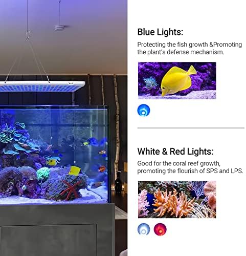 Svjetiljka za akvarij od 2 kom od 300 vata, 676 LED lampica za akvarij s daljinskim upravljačem, način izlaska i zalaska sunca s 24-satnom