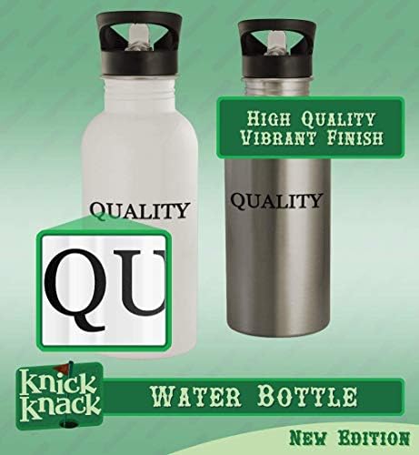 Knick Knack pokloni Steeving - boca vode od nehrđajućeg čelika od 20oz, srebrna