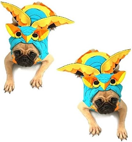 Kostim za pse - Šarene kostime sove oblače vaše pse poput sova