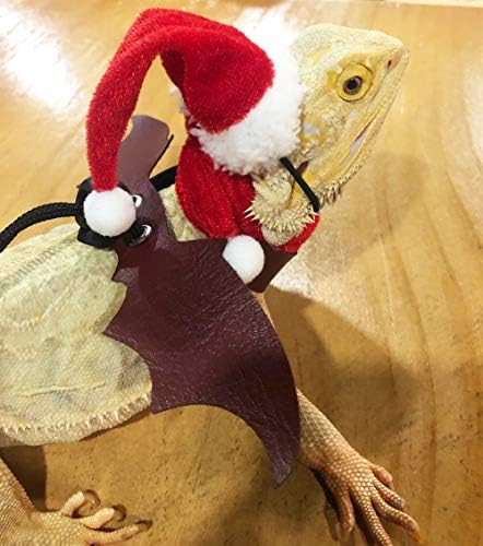 Lizard bradat zmaj Djeda Djeda šešir s šal božićnim kostimom, podesiva gušterska odjeća xmas čarapa čarapa dar za gmizavce male životinje